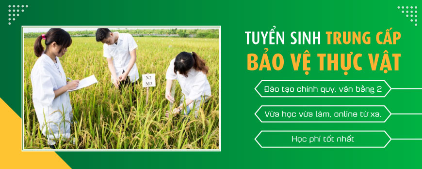 Học trung cấp bảo vệ thực vật tại Việt Hàn